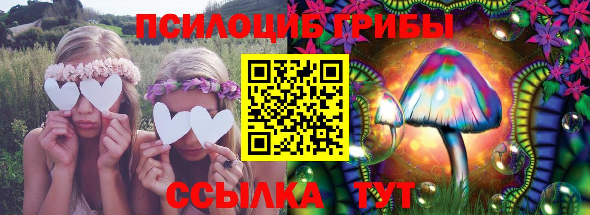 Псилоцибиновые грибы мухоморы Симферополь